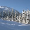 IMG_4344