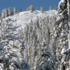 IMG_4345