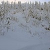 IMG_4362