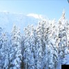 pano01