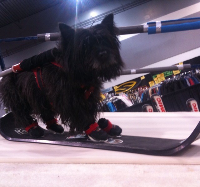 Image From Premier’s New Snowkate Pro