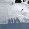 Spectators Shadows