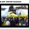 SJ2011-2