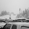 Mt Baker Parking Lot