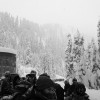 Line for 4.5