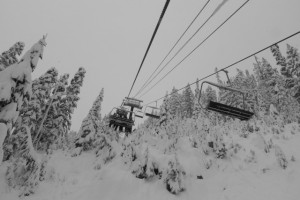 Chair 6 view