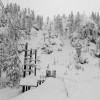 Chair 1