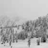 Mt Shuksan