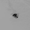 Snow Angel