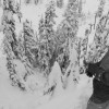 Kurt Jenson Pre Drop