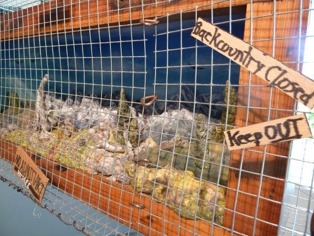 Image From Free Hurricane Ridge