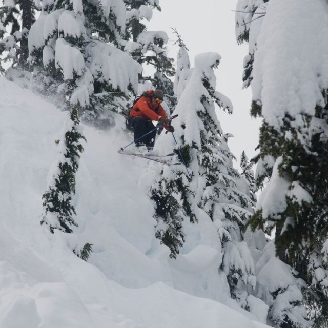 Image From Mt. Baker Pro Patrol Loves Lib Tech Skis