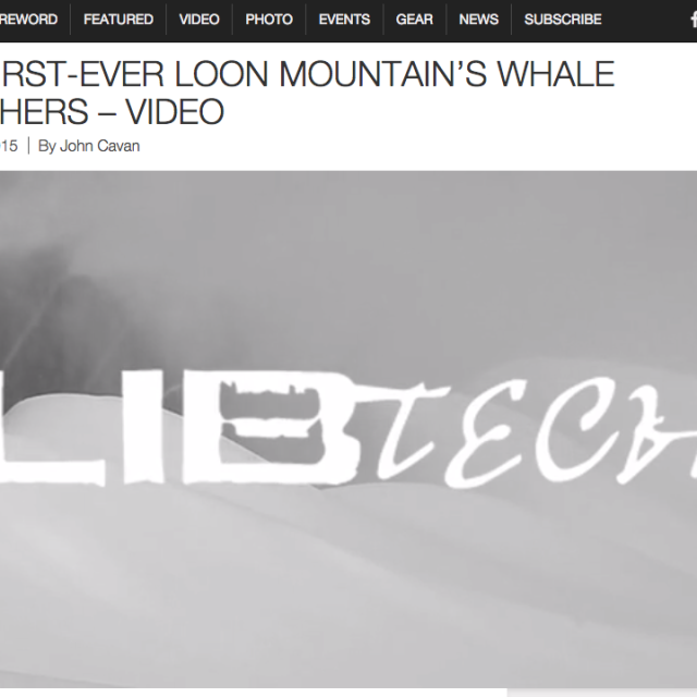 Image From Lib Tech sponsors Loon Parks Whale Watchers