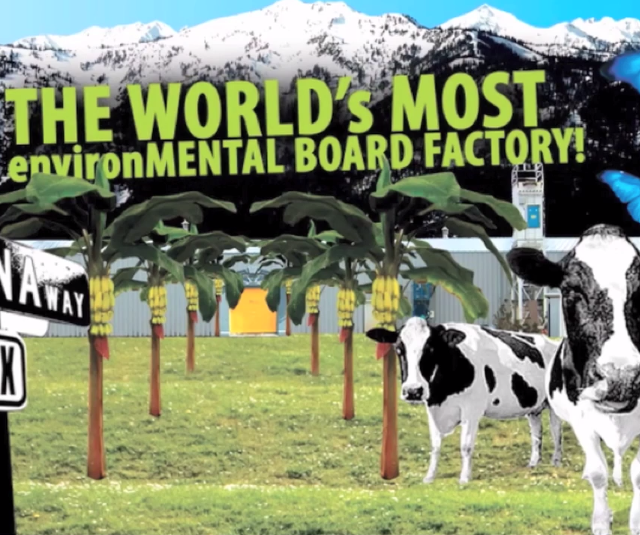 Image From “Inside the World’s Greenest Factory” By: Mountain Life Mag