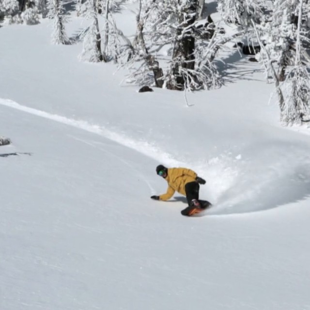 Image From Alex Lopez Carves Bachelor