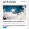 Fredi K Whitelines in Newsletter