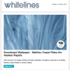 Mathieu C in Whitelines Newsletter
